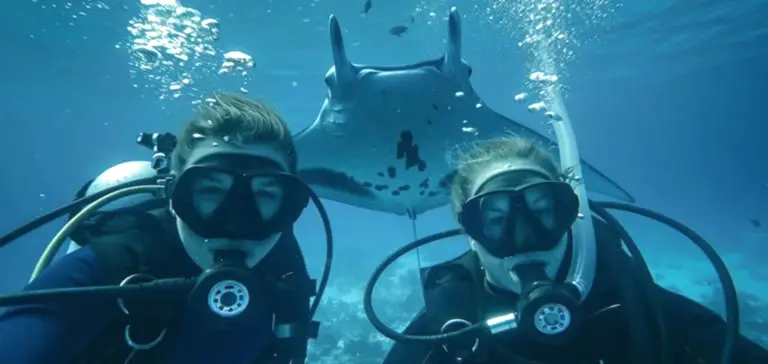 Türkiye'nin En İyi Dalış Noktaları