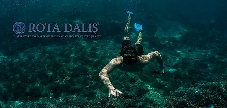 Yeni Başlayanlar İçin Serbest Dalış ile İlgili Her Şey