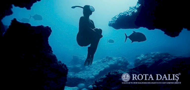 Dalışla İlgili Mitler ve Gerçekler