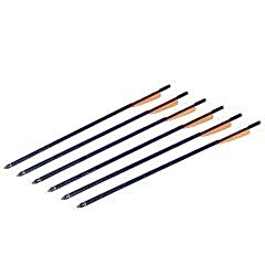 CROSMAN CARBON YEDEK OK (6 ADET)