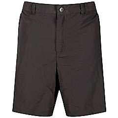 Regatta Leesville Shrt II Erkek Şort-GRİ