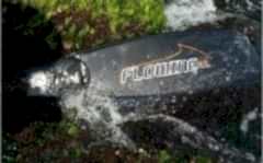 FLOWİNG KARBON PALA