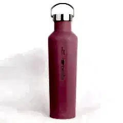 Igloo Pentagon Termos 750ml-PEMBE